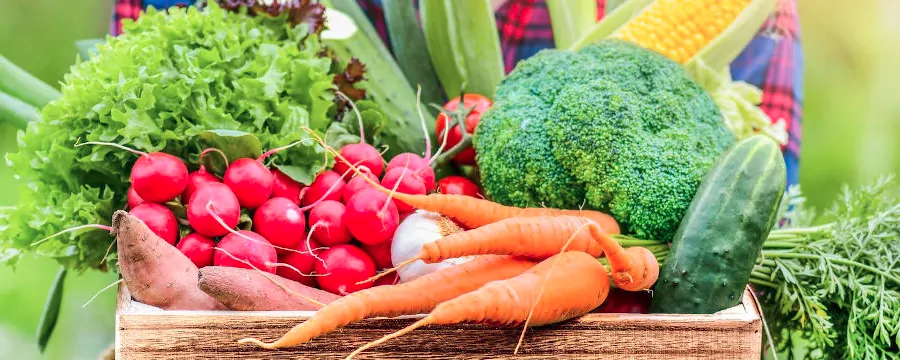 Connecté à Illico mes produits locaux